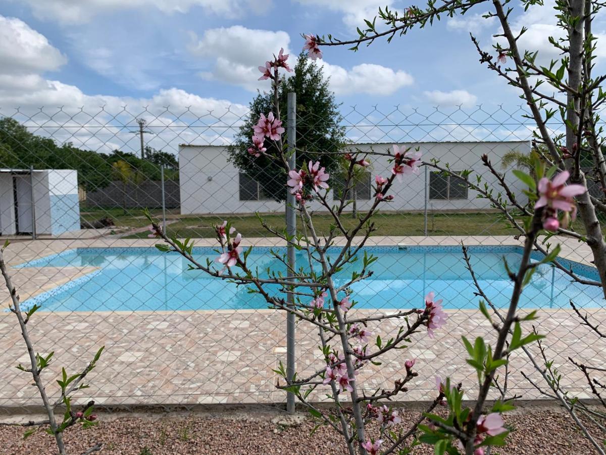 Palm Grove Farm Villa Tit Mellil Kültér fotó